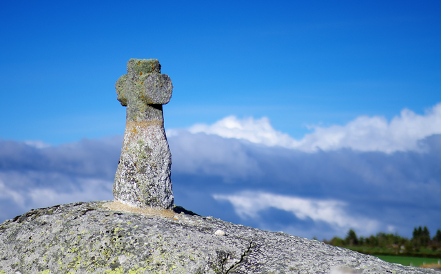 2018-05-01 aubrac (2)