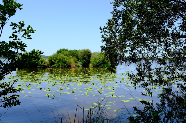 Lac de Léon