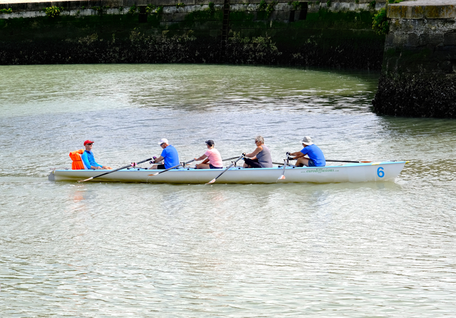 Rameurs à La Rochelle